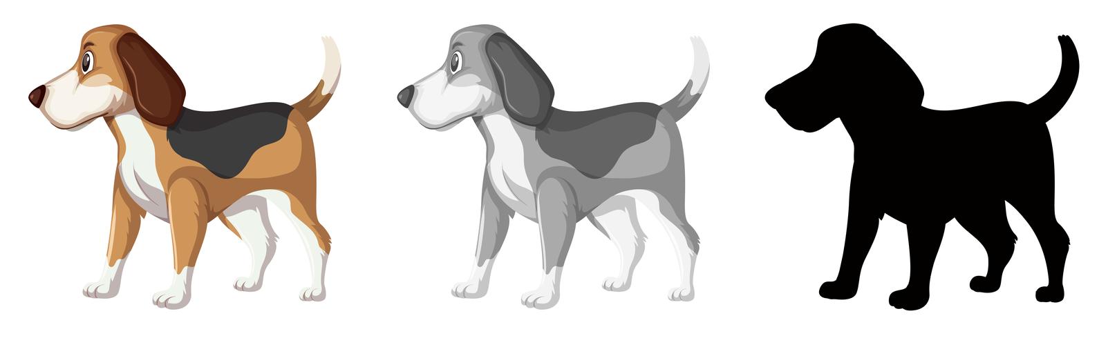 Conjunto de caracteres de cachorro beagle vetor