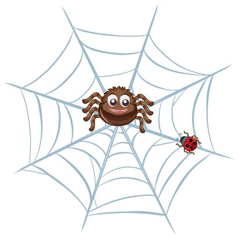 Aranha na web vetor