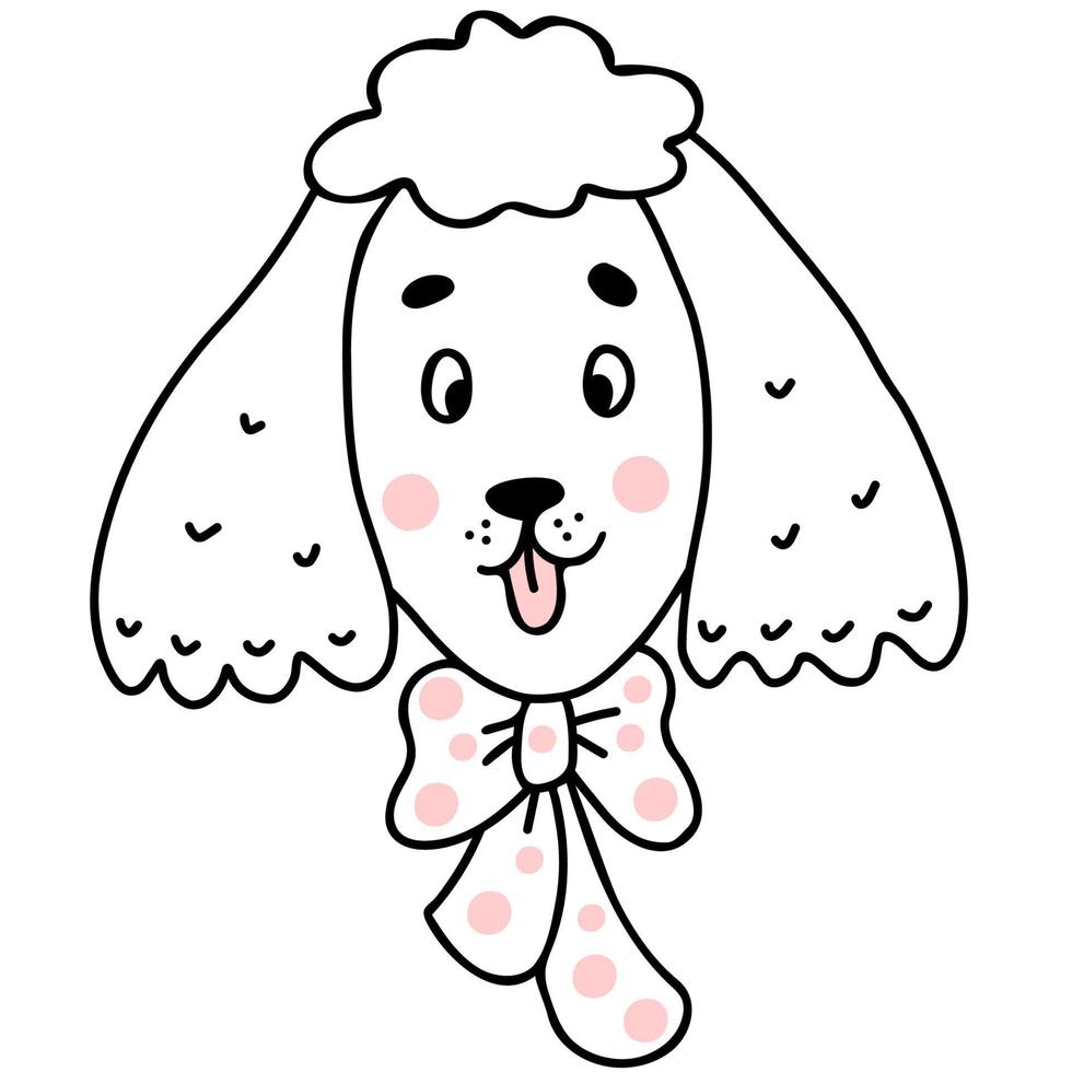 lindo poodle. ilustração vetorial em estilo doodle desenhado à mão linear vetor