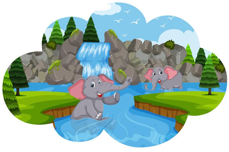 Elefantes brincando na água vetor