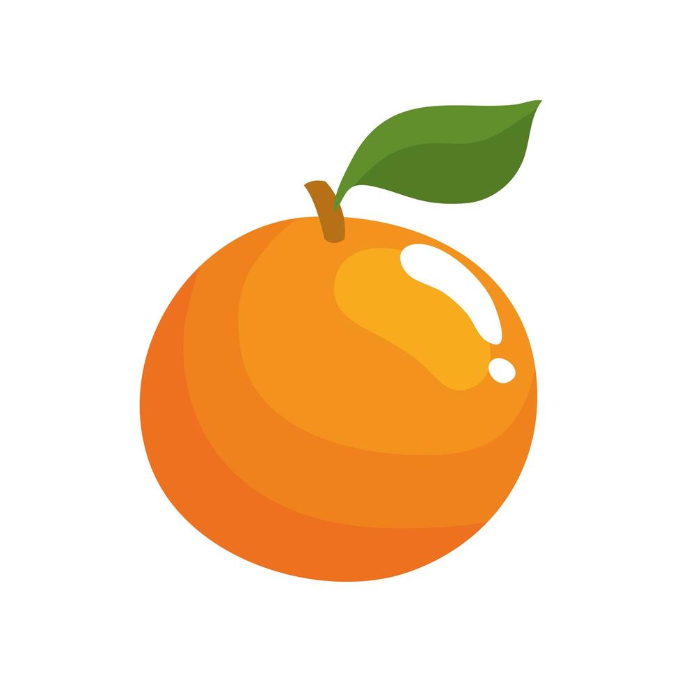 fruta fresca de laranja vetor