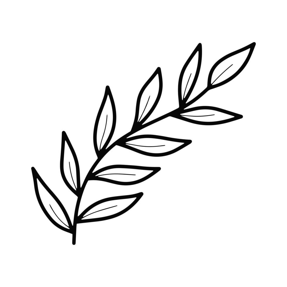 ramo de planta vector doodle com folhas isoladas.