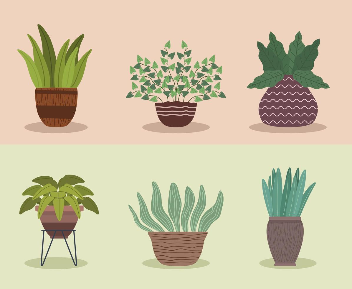 seis ícones de jardinagem de plantas de casa vetor