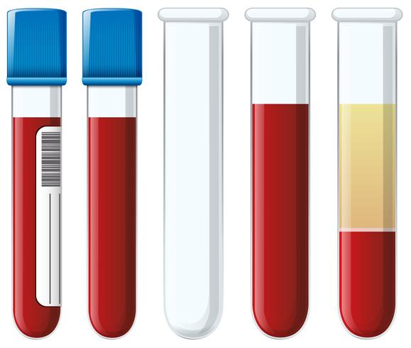 Conjunto de tubos de coleta de sangue vetor