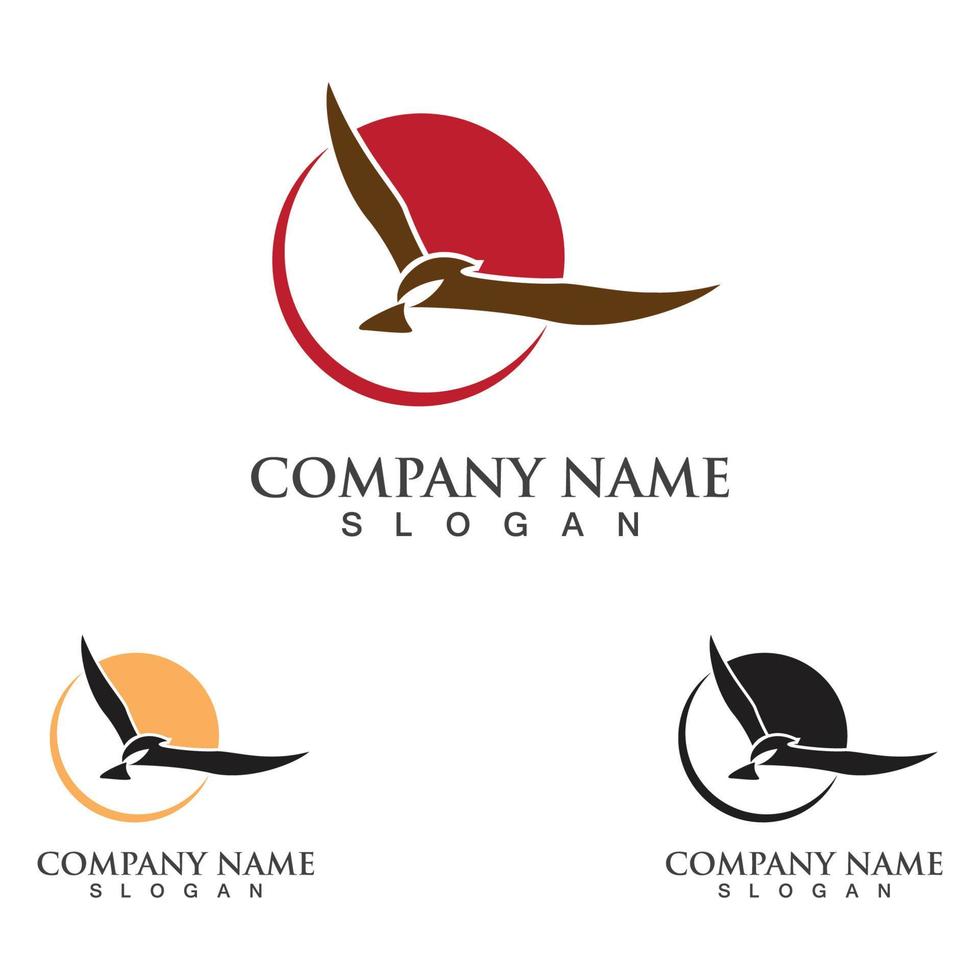 design de logotipo de gaivota, temas, modelos de elementos gráficos animais selvagens vetor