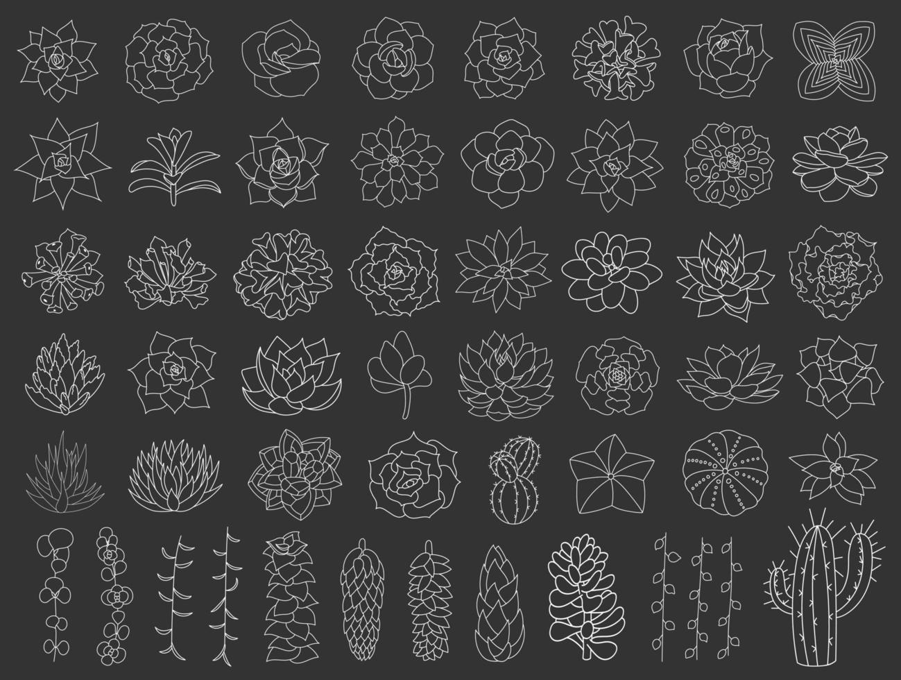 conjunto de vetores de suculentas e cactos. ilustração de flor do deserto desenhada à mão em estilo doodle. definir plantas com contorno branco. suculentas de silhueta em um fundo preto. echeveria, aloe e cacto