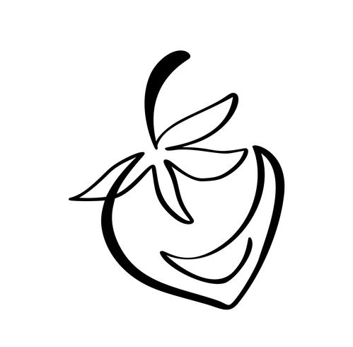 Morango mão desenhada contorno doodle ícone. Esboço do vetor Ilustração logotipo da baga saudável - morango cru fresco para impressão, web, mobile e infográficos isolado no fundo branco