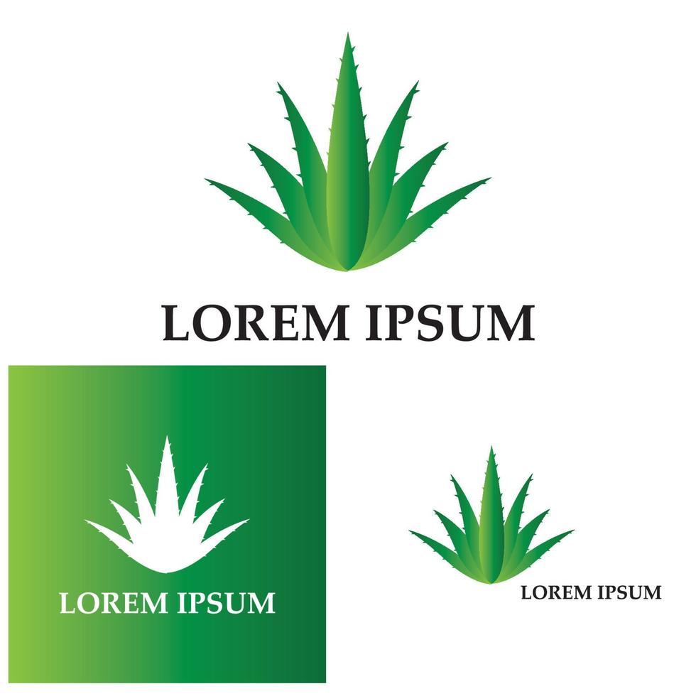 modelo de ilustração vetorial de logotipo de aloe vera vetor