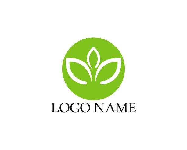 Logotipos de folha verde ecologia natureza elemento vector ícone