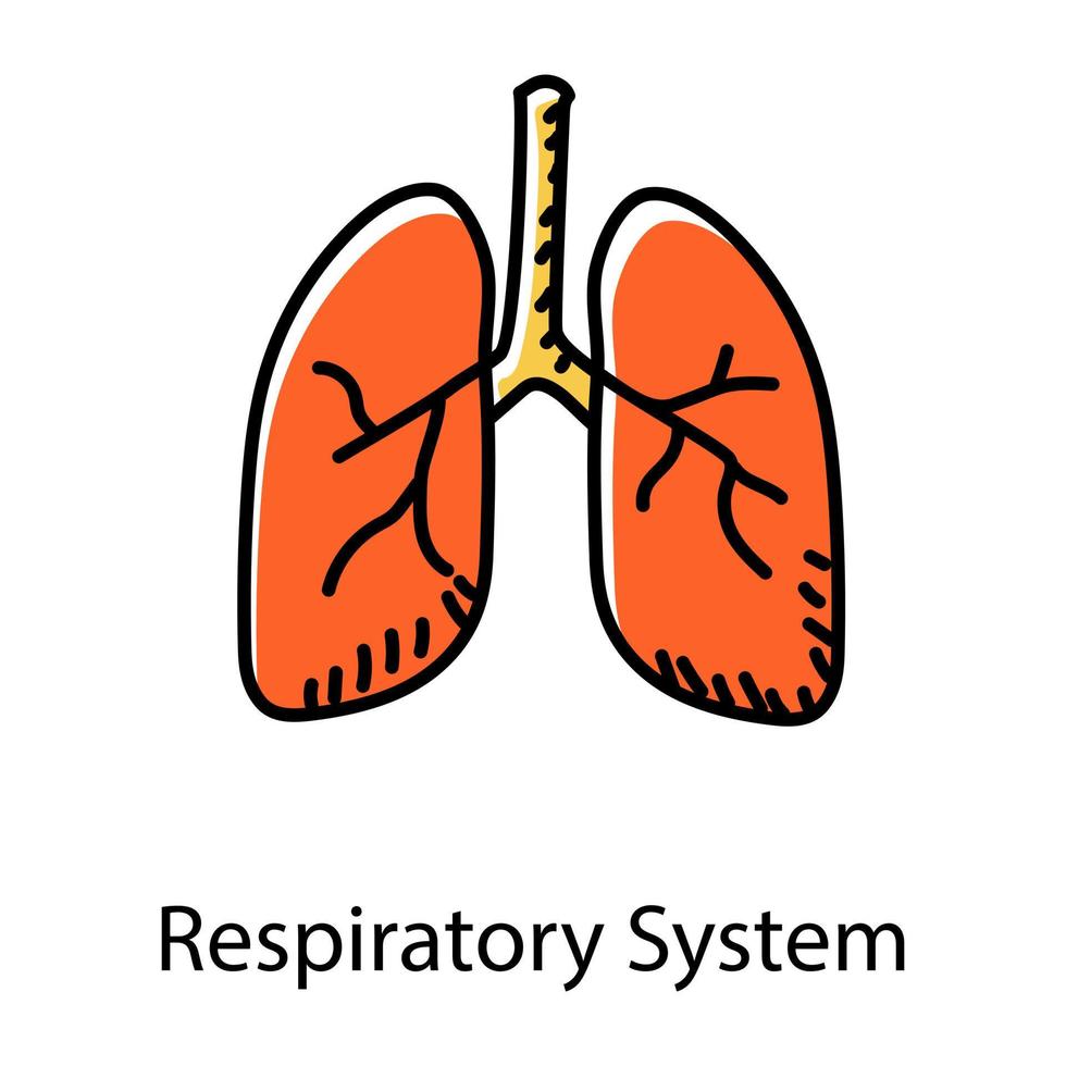 órgão humano, ícone editável de estilo doodle do sistema respiratório respiratório, pulmões, anatomia, pneumologia, ventilatório, órgão, ícone, vetor, doodle, esboço vetor