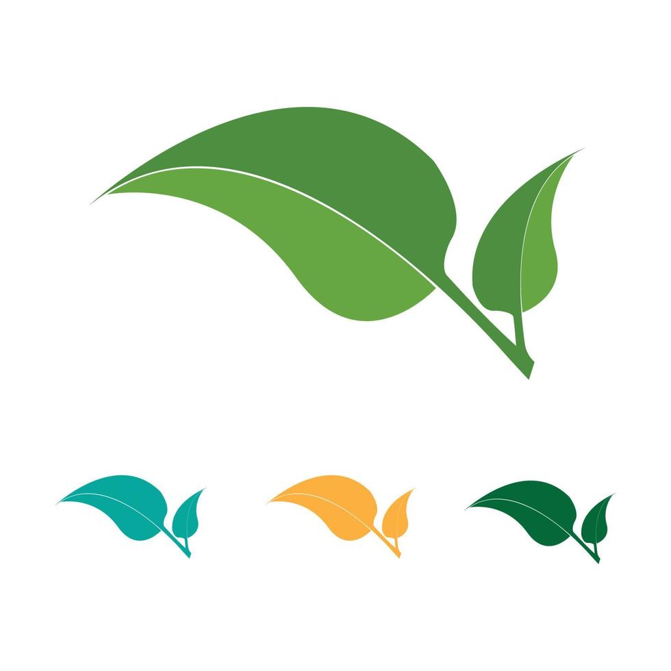 logotipos da ecologia de folhas verdes vetor