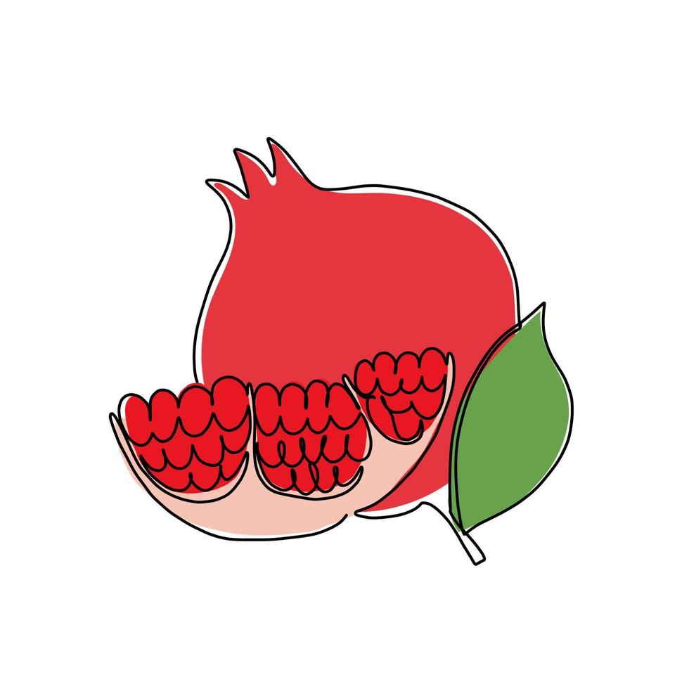 ilustração vetorial desenhada à mão de uma romã em estilo de linha única. ilustração fofa de uma fruta em um fundo branco. vetor