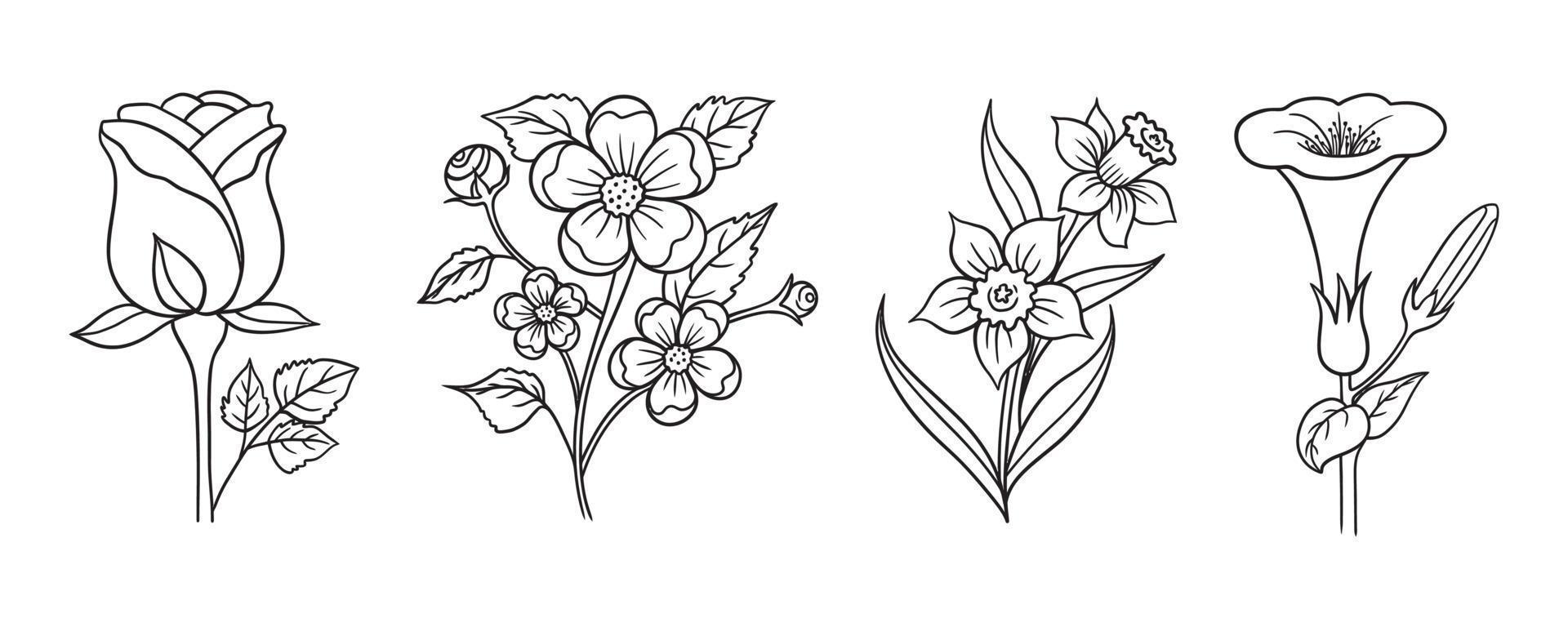 conjunto de ilustração vetorial de flores desenhadas à mão em preto e branco vetor