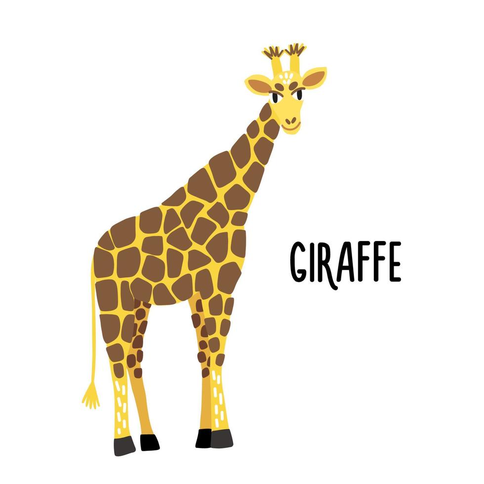 imagem de uma girafa africana fofa em um fundo branco vetor