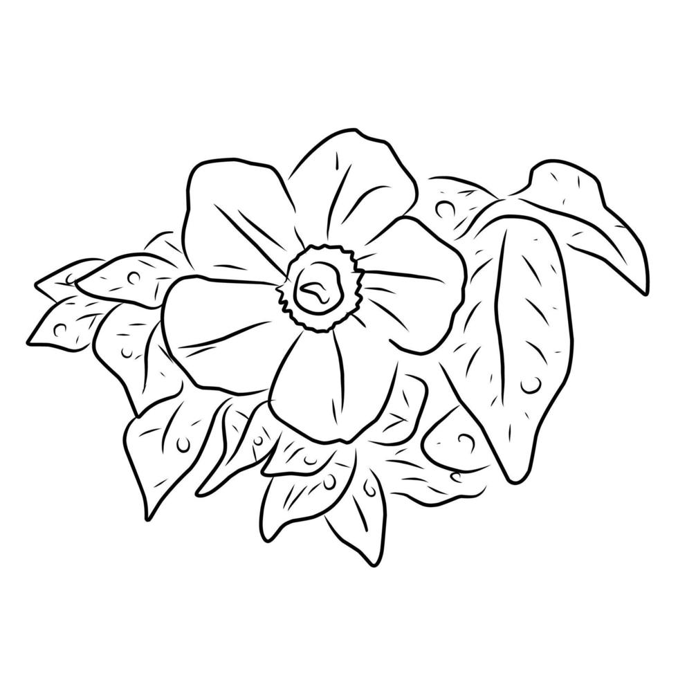 ilustração de flor de estilo de linha vetor