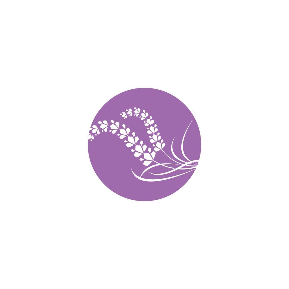 design plano de vetor de logotipo de flor de lavanda fresca