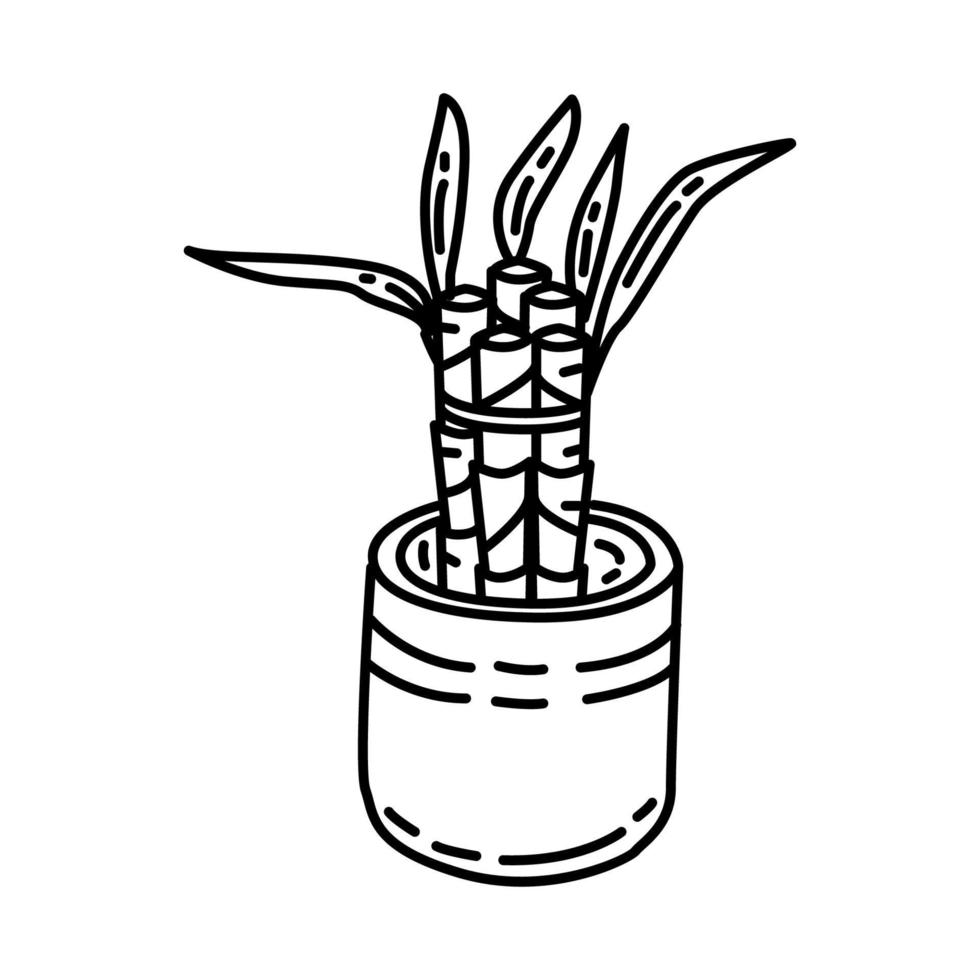 ícone de planta de bambu da sorte. doodle desenhado à mão ou estilo de ícone de contorno. vetor