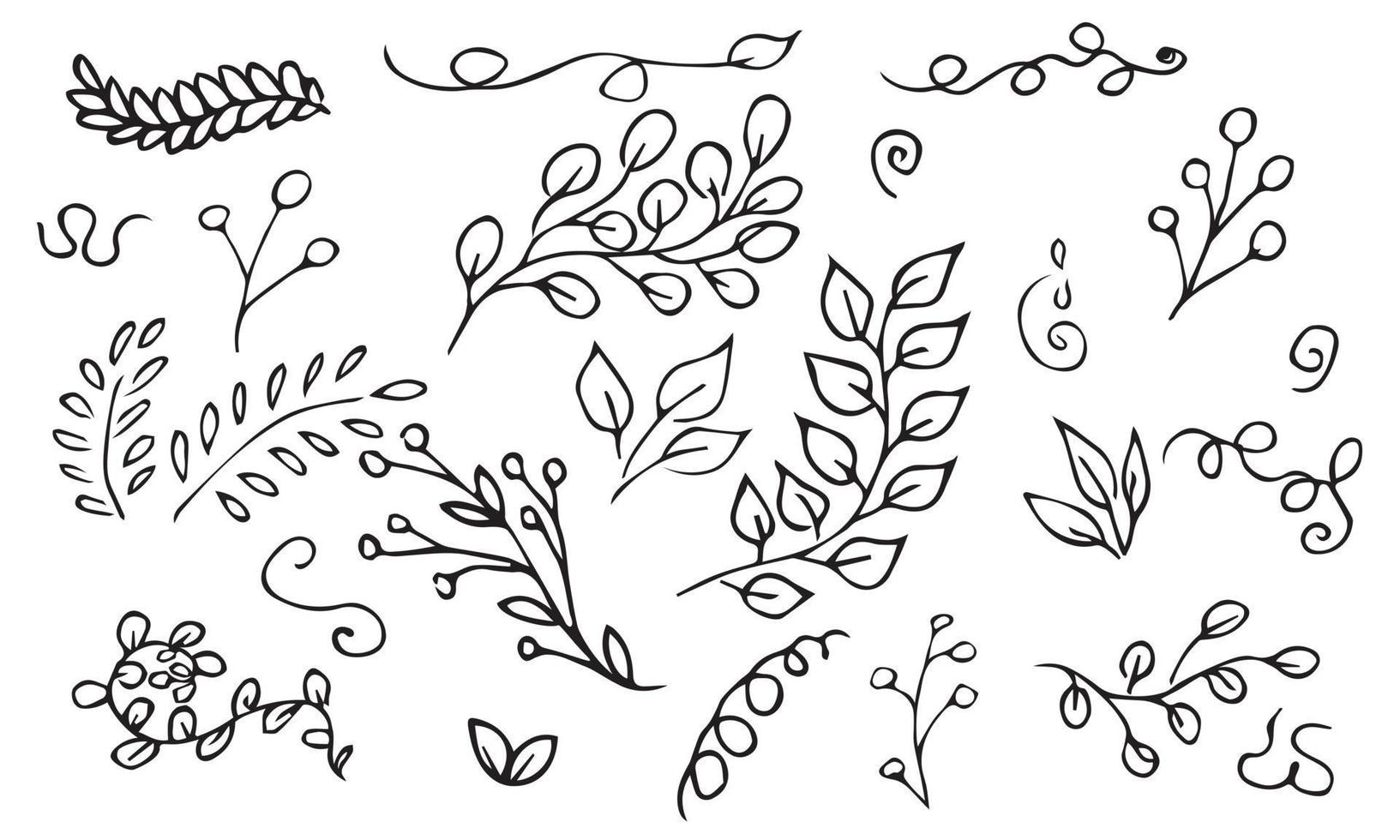 conjunto de vetores desenhados à mão de galhos de árvores e ervas. rabiscos pretos isolados no fundo branco. ilustração botânica para impressão, web, design, decoração, logotipo.