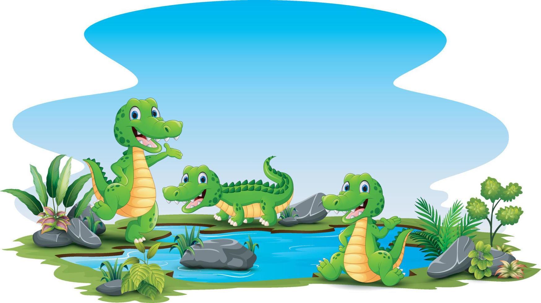 desenho animado três crocodilo ao redor do pequeno lago vetor