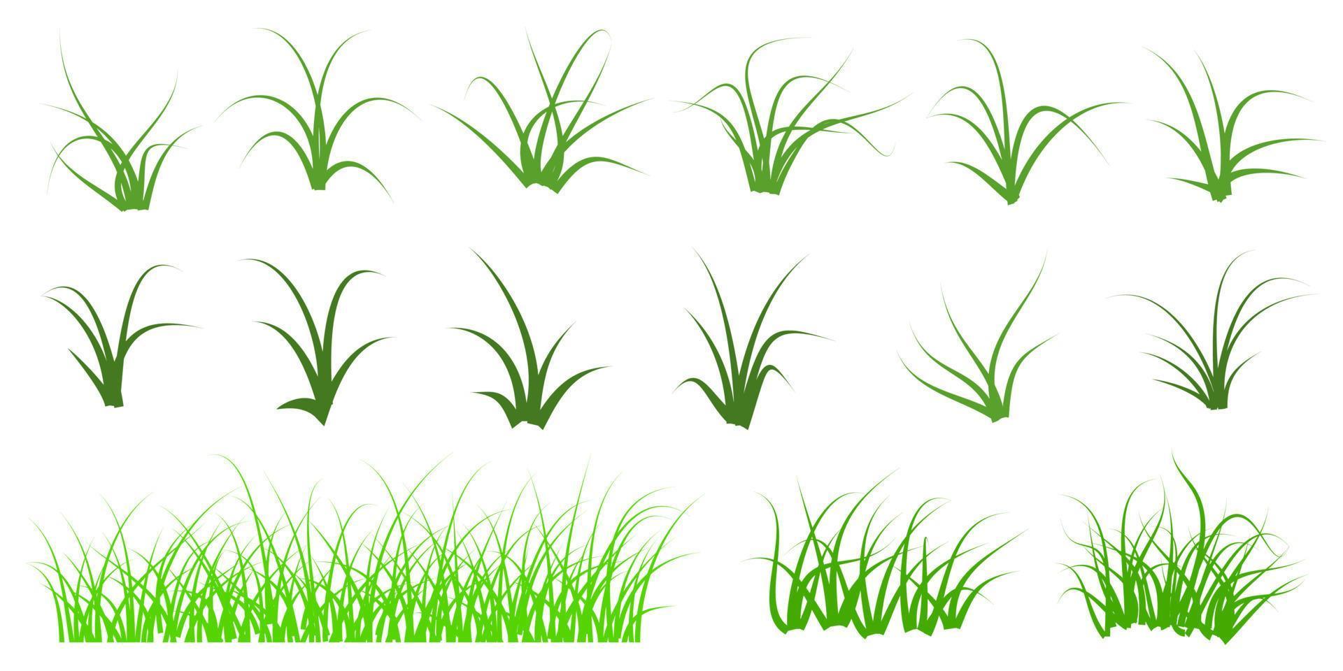vetor definido silhueta de grama verde