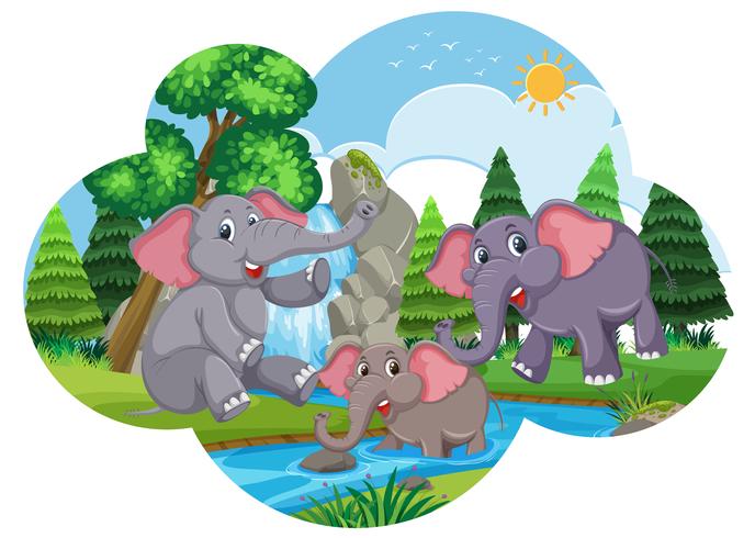 Elefantes fofos brincando na água vetor
