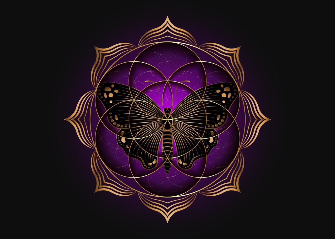 semente flor do ícone de lótus da vida e borboleta mágica negra, geometria sagrada yantra mandala, símbolo dourado de harmonia e equilíbrio. talismã místico, vetor de linhas de ouro isolado no fundo roxo