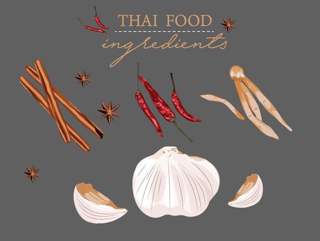 elemento de vetor de coleção de ingredientes tailandeses