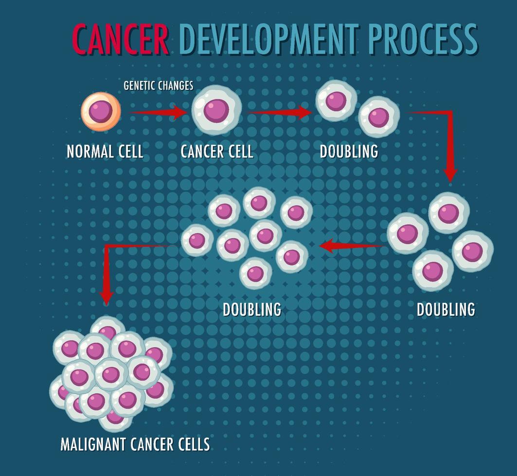 infográfico de processo de desenvolvimento de câncer vetor