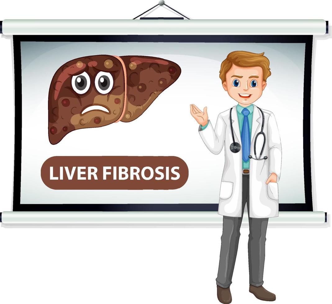 um personagem de desenho animado médico explicando fibrose hepática vetor