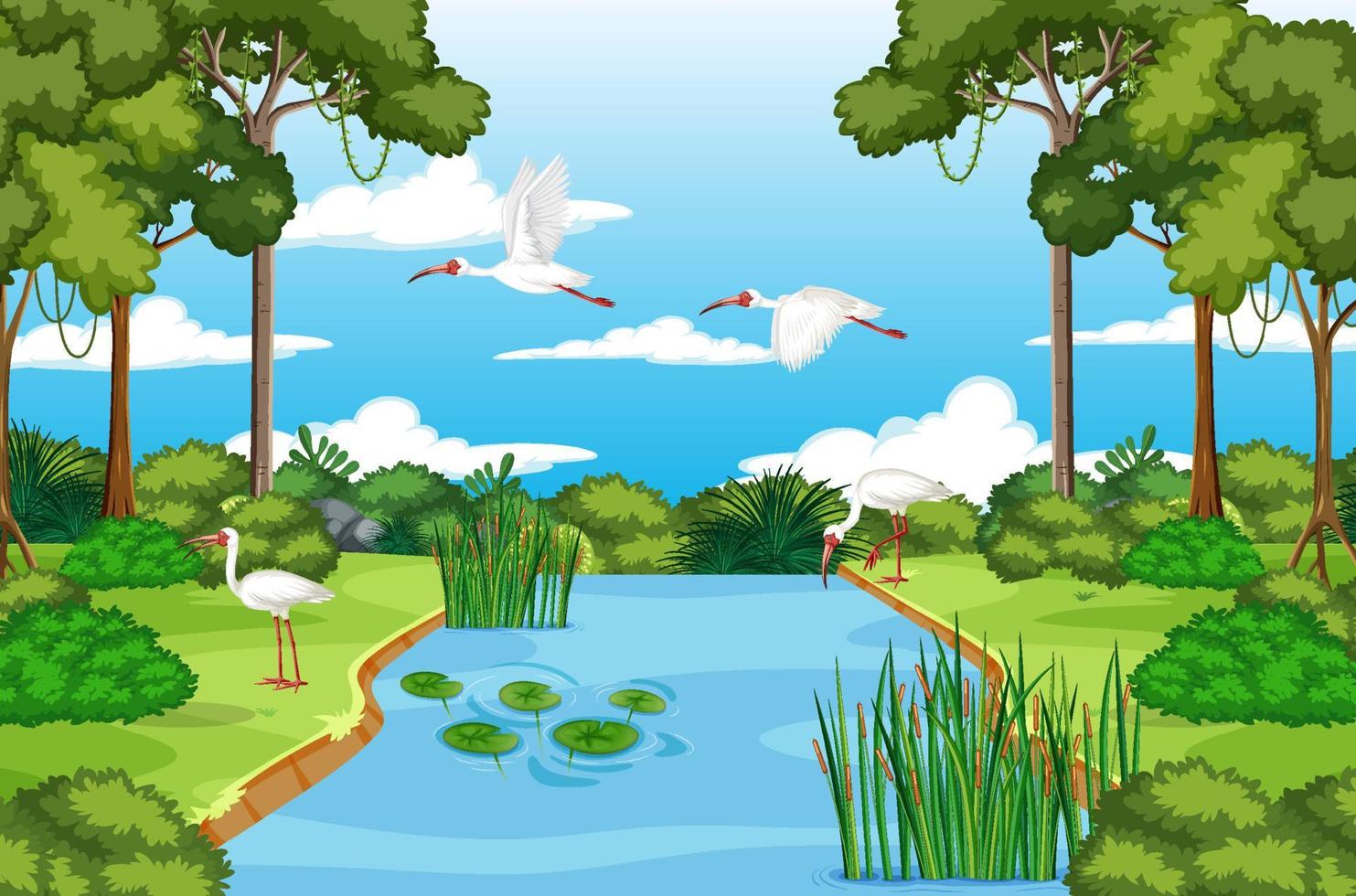 muitos ibis na lagoa vetor
