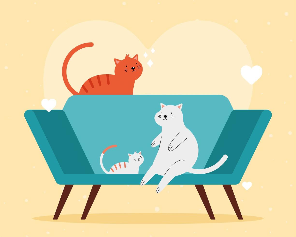gatos no sofá vetor