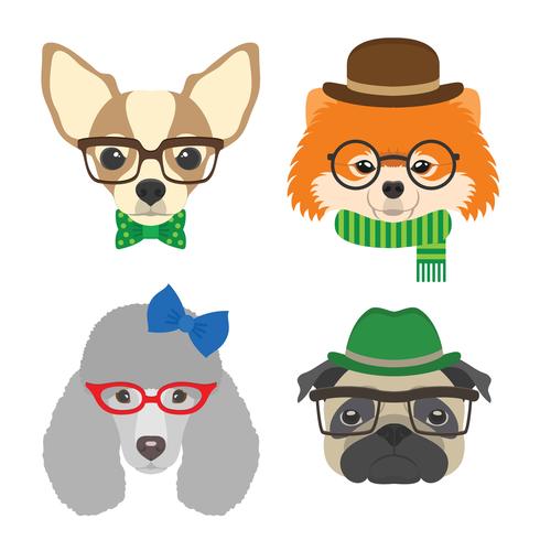 Conjunto de retratos de cães. Chihuahua, pug, poodle, pomeranian óculos usando óculos e acessórios em estilo simples. Ilustração em vetor de cães Hipster para cartões, impressão de t-shirt, cartaz, avatares.