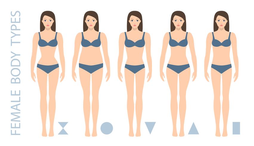 Conjunto de tipos de forma do corpo feminino - triângulo, pêra, ampulheta, apple, arredondado, triângulo invertido, retângulo. Tipos de figura de mulher. Ilustração vetorial vetor