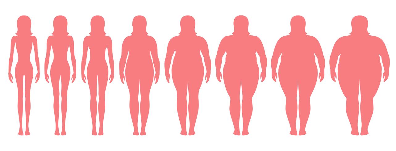 Vector a ilustração de silhuetas da mulher com peso diferente da anorexia a extremamente obeso. Índice de massa corporal, conceito de perda de peso.