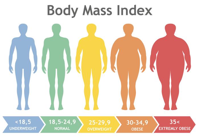 Ilustração do vetor do índice de massa corporal do underweight ao extremamente obeso. Silhuetas de homem com diferentes graus de obesidade. Corpo masculino com peso diferente.