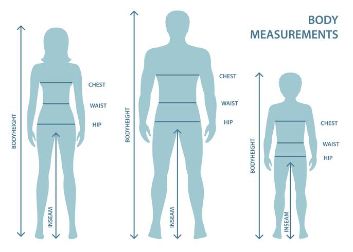 Silhouttes do homem, das mulheres e do menino no comprimento cheio com linhas da medida de parâmetros do corpo. Medidas de homem, mulher e criança. Medidas e proporções do corpo humano. vetor