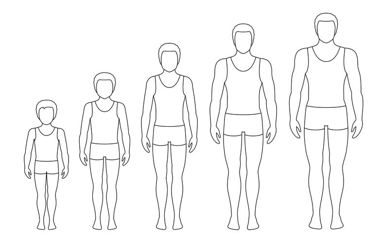 Proporções do corpo do homem mudando com a idade. Fases de crescimento do corpo do menino. Ilustração vetorial de contorno. Conceito de envelhecimento. Ilustração com a idade do homem diferente do bebê ao adulto. Estilo simples homens europeus. vetor