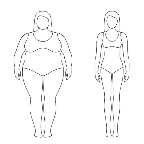 Ilustração com contornos de uma mulher antes e depois da perda de peso. Corpo feminino. Conceito bem sucedido de dieta e esporte. Meninas magras e gordas. vetor