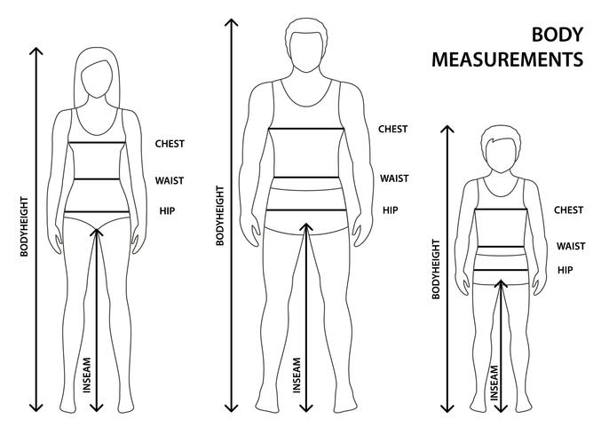 Vector a ilustração do homem contornado, das mulheres e do menino no comprimento cheio com linhas da medida de parâmetros do corpo. Medidas de homem, mulher e criança. Medidas e proporções do corpo humano.
