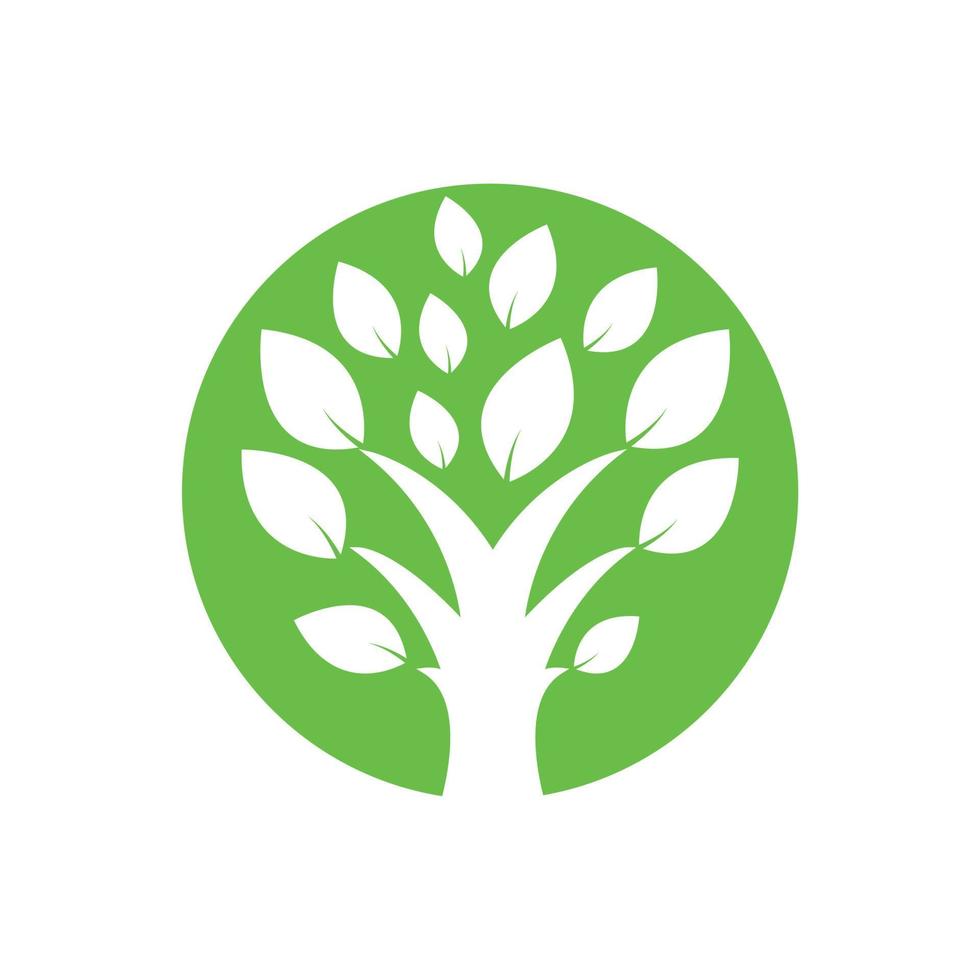 logotipo da árvore com forma de círculo vetor
