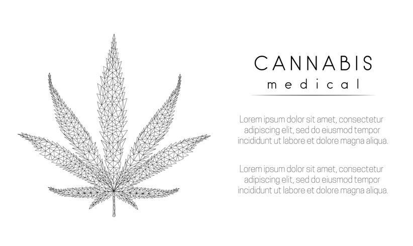 Cannabis medicinal. Folha de maconha. Design de estilo baixo poli. vetor