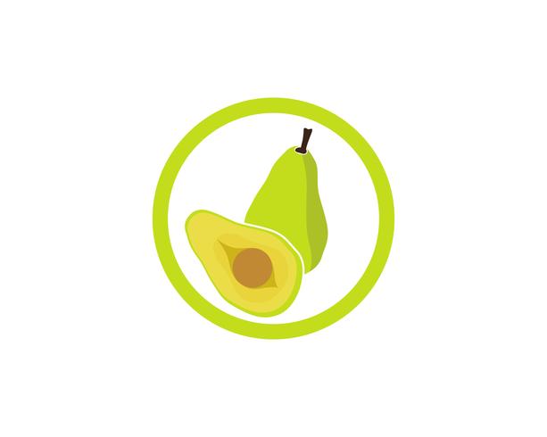logotipo de modelo de vetor de abacate