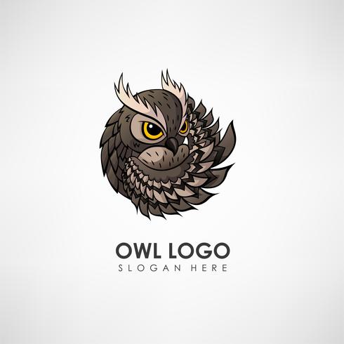 Modelo de logotipo do conceito de coruja. Etiqueta para empresa ou organização. Ilustração vetorial vetor