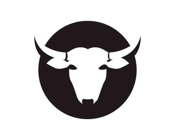 Símbolos de cabeça de vaca e modelo de vetor de logotipo