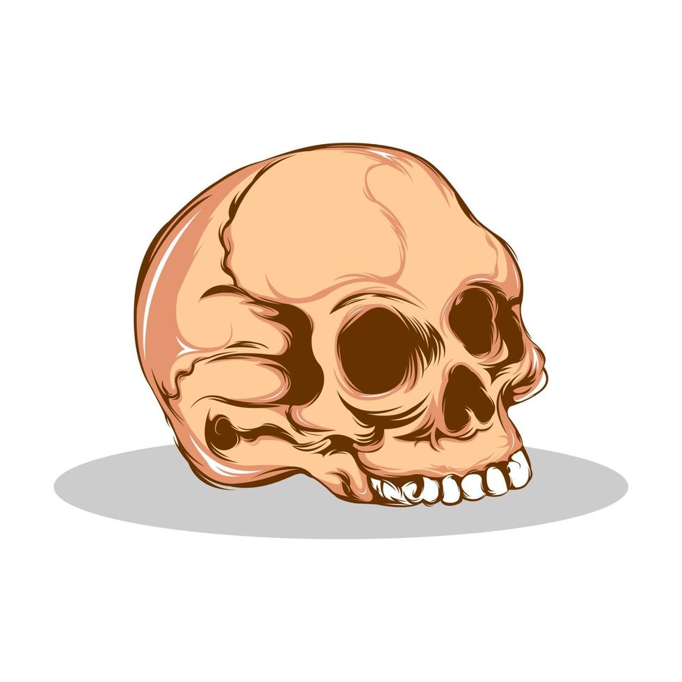 ilustração de arte vintage de crânio de cabeça vetor