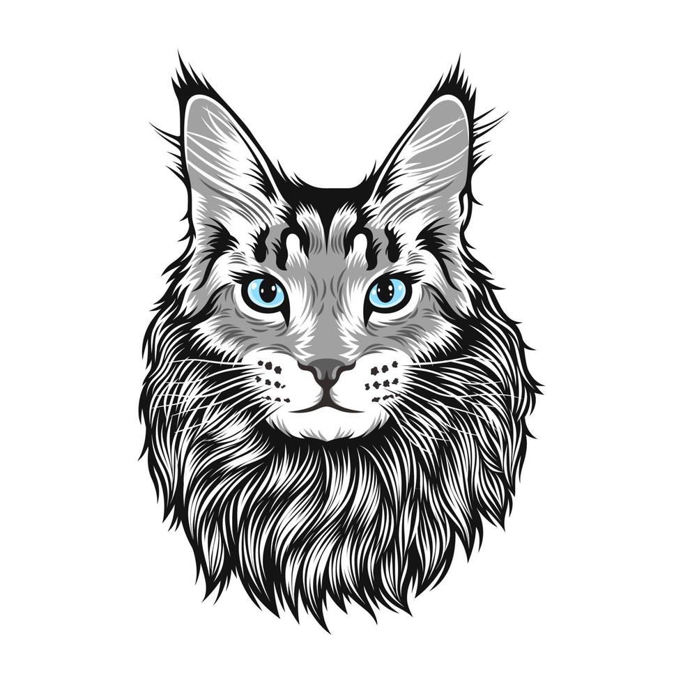 ilustração vetorial de maine coons de gato grande com pêlo comprido vetor