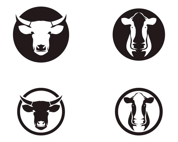 Símbolos de cabeça de vaca e modelo de vetor de logotipo