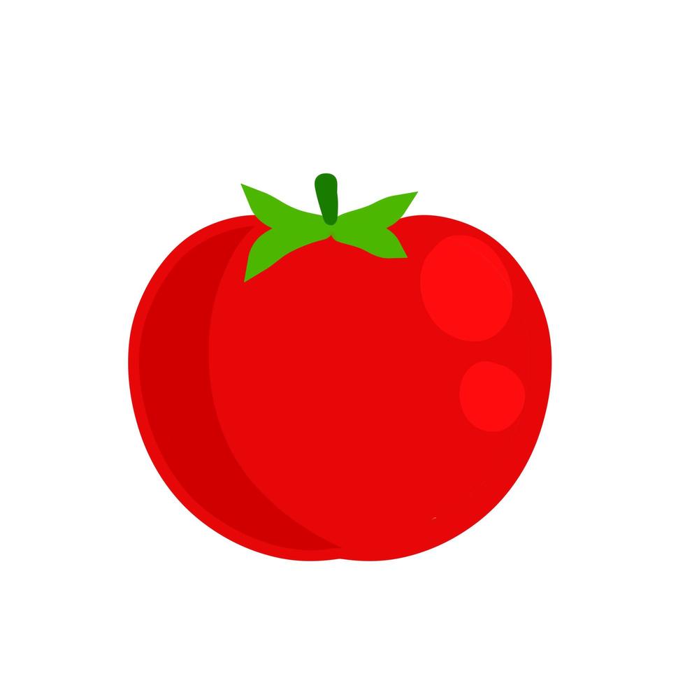 tomate. vegetal vermelho. colheita e comida vegetariana. vetor