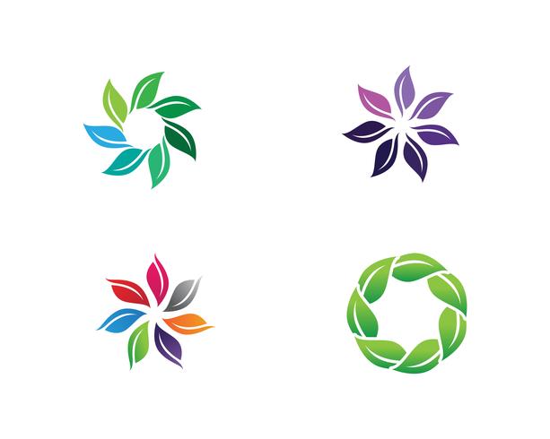 padrões florais logotipo e símbolos fundo branco vetor