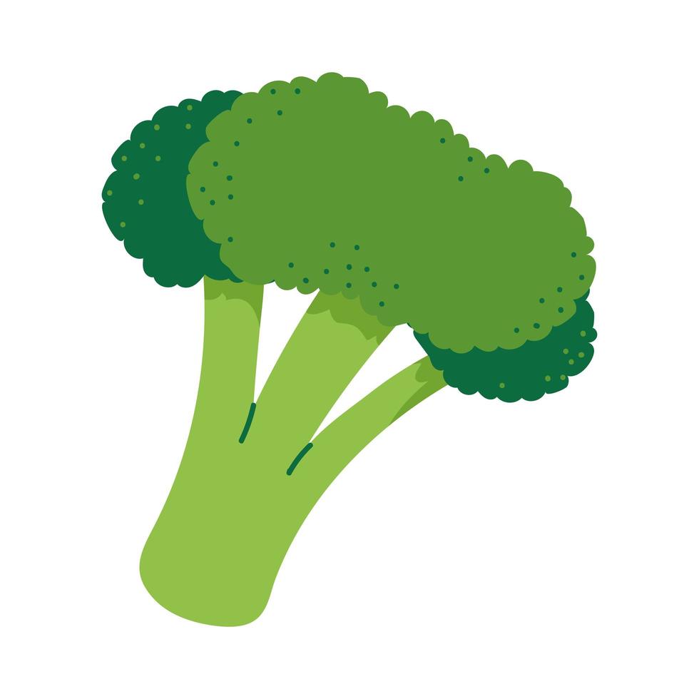 brócolis vegetais frescos vetor